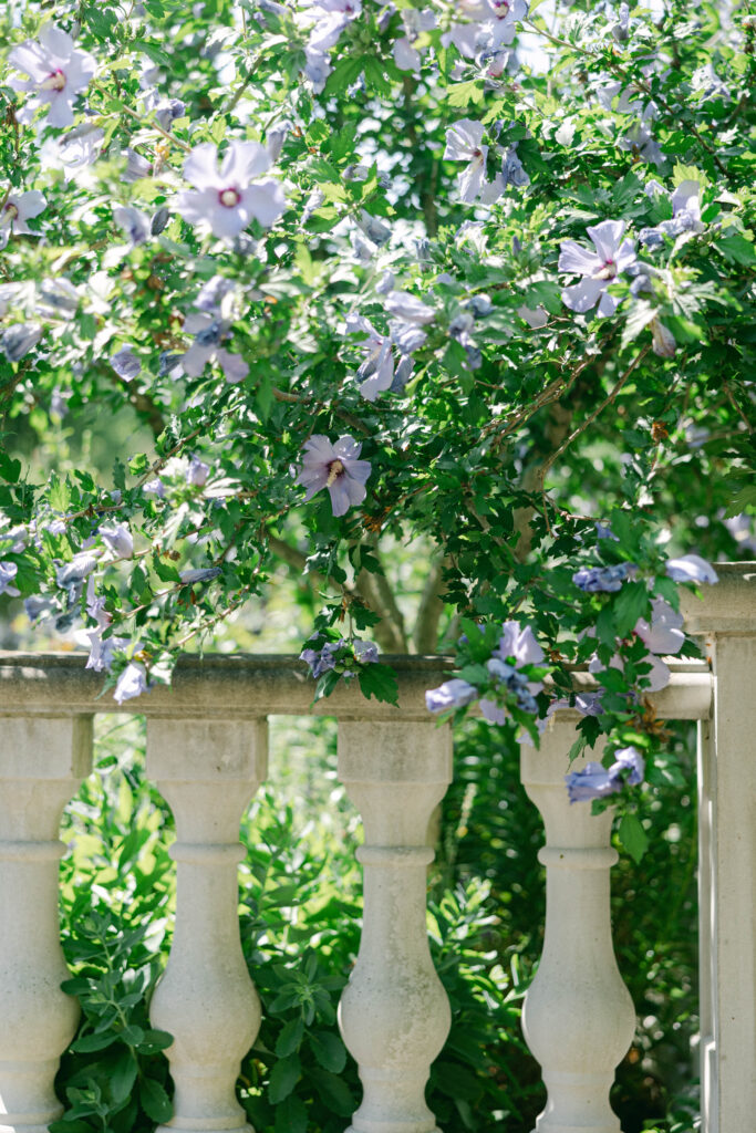 wedding detail photos